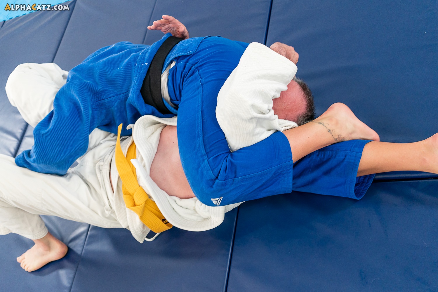 AC-COMP-048: FACING THE JUDO CHAMPION! feat. 