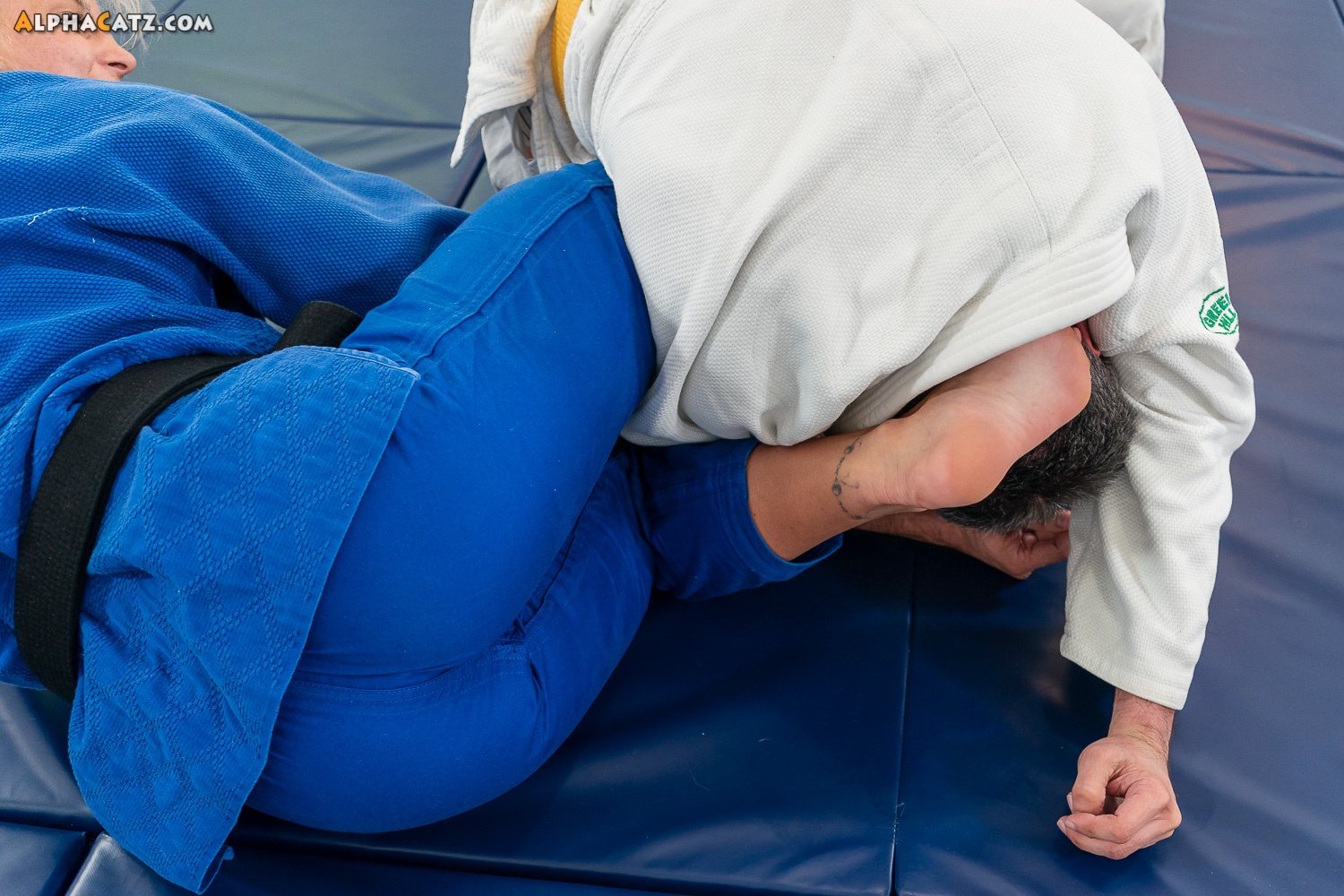 Sheena Judo